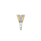 Organic Zirconia Ring