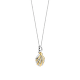 Shell Necklace with pendant