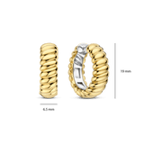 Vintage Ribbed Hoops