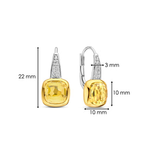 TI SENTO Earrings 7969DY