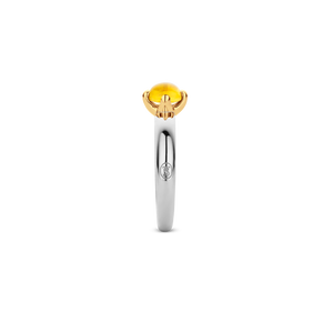 [product_link_hover]