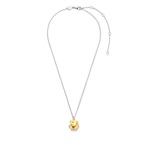 TI SENTO Necklace 3983MW