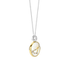 TI SENTO Pendant - Capricorn