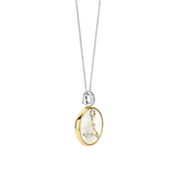 Zodiac Necklace with pendant - Pisces