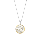 Zodiac Necklace with pendant - Scorpio