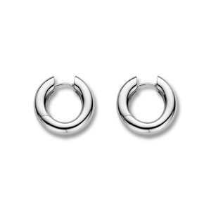 TI SENTO Earrings 7493SI