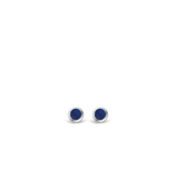 TI SENTO Earrings 7597BL