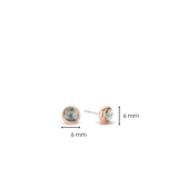 TI SENTO Earrings 7748GB