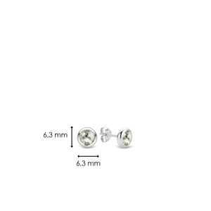 TI SENTO Earrings 7748GG