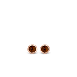 TI SENTO Earrings 7748TB