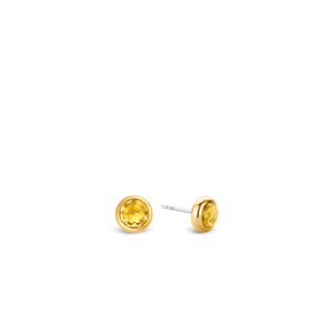 TI SENTO Earrings 7748TY