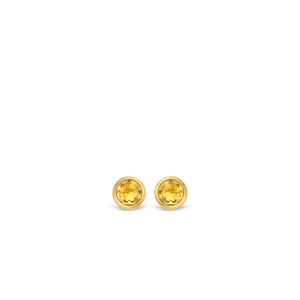 TI SENTO Earrings 7748TY