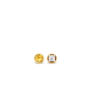 TI SENTO Earrings 7748TY