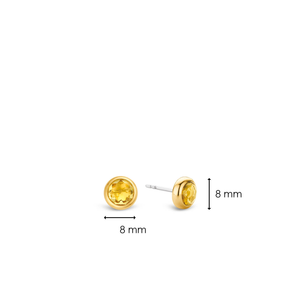 TI SENTO Earrings 7748TY