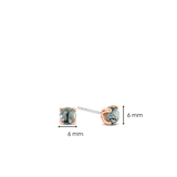 TI SENTO Earrings 7768GB