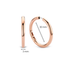 TI SENTO Earrings 7782SR