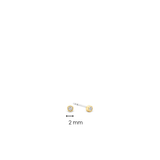 TI SENTO Earrings 7783ZY