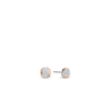 TI SENTO Earrings 7799ZR
