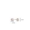 TI SENTO Earrings 7799ZR