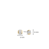 TI SENTO Earrings 7799ZY
