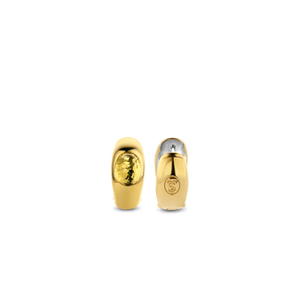 TI SENTO Earrings 7805TY