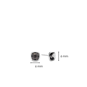 TI SENTO Earrings 7808GB