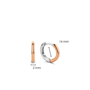 TI SENTO Earrings 7812SR