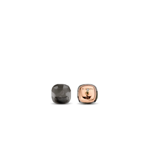 TI SENTO Earrings 7814GB