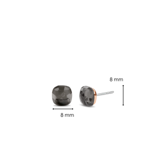 TI SENTO Earrings 7814GB