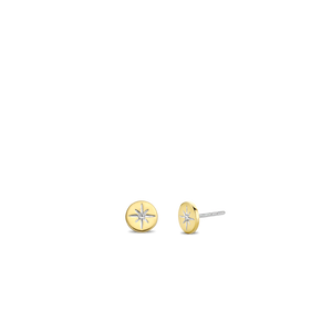 TI SENTO Earrings 7822ZY