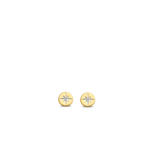 TI SENTO Earrings 7822ZY