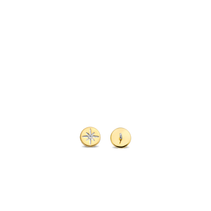 TI SENTO Earrings 7822ZY
