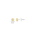 TI SENTO Earrings 7822ZY