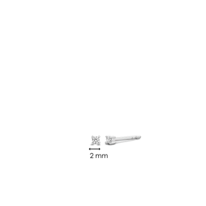 TI SENTO Earrings 7834ZI