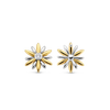 TI SENTO Earrings 7860ZY