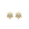 TI SENTO Earrings 7860ZY