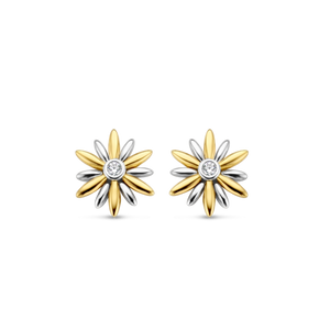 TI SENTO Earrings 7860ZY