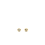 TI SENTO Earrings 7867ZY