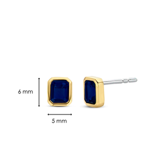 TI SENTO Earrings 7893BY