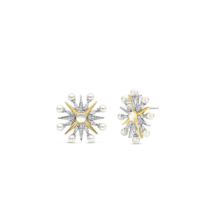 TI SENTO Earrings 7930YP