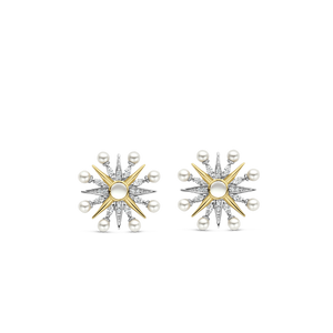 TI SENTO Earrings 7930YP
