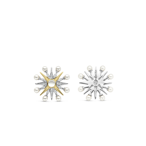 TI SENTO Earrings 7930YP