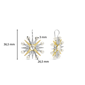 TI SENTO Earrings 7931YP