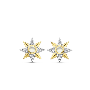 TI SENTO Earrings 7932MW