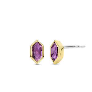 TI SENTO Earrings 7944PU