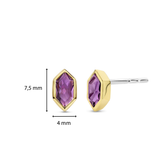 Purple Gem Earrings