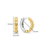 TI SENTO Earrings 7961SY