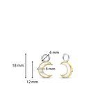Moon Pearl Earcharms